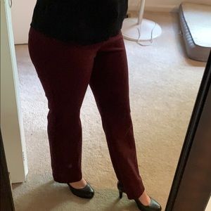 Express Editor Barely Boot Dress Pants